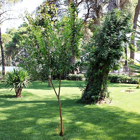 Il Melograno B&B กัสเตลลาเนตา มารีนา ภายนอก รูปภาพ